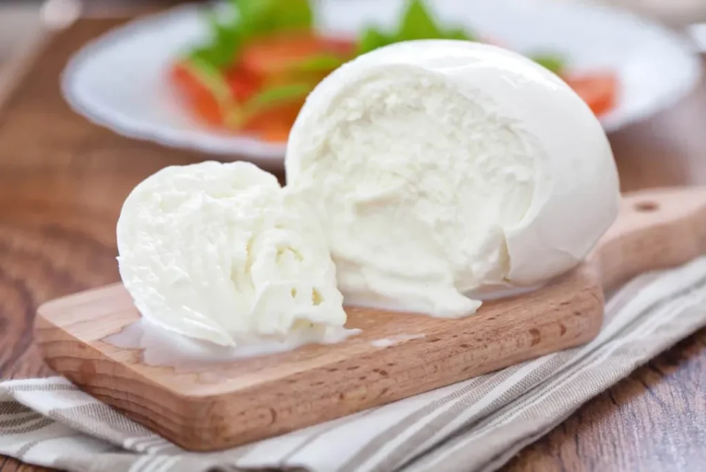 Life Cycle of Mozzarella