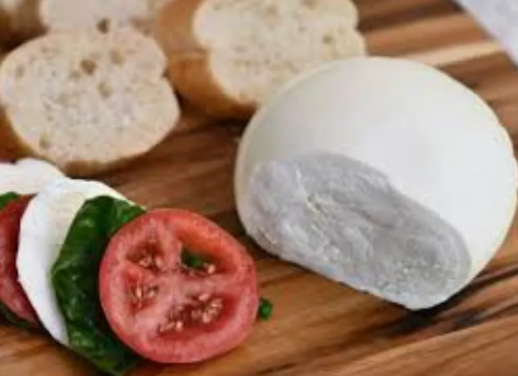 Life Cycle of Mozzarella