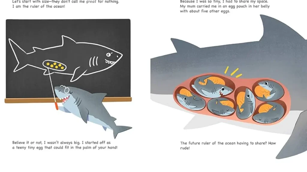 Life Cycle of a Great White Shark