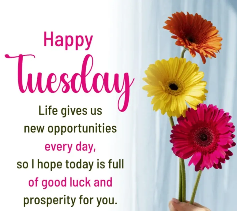 blessed tuesday