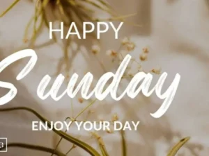 happy blessed sunday
